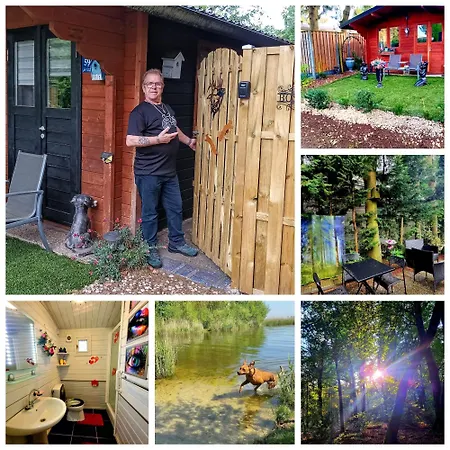 Boslust, In De Op Rustig Park Chalet