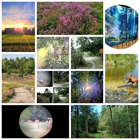 Chalet Boslust, In De Op Rustig Park