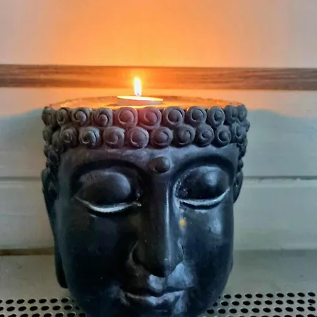 Boslust, In De Op Rustig Park Chalet