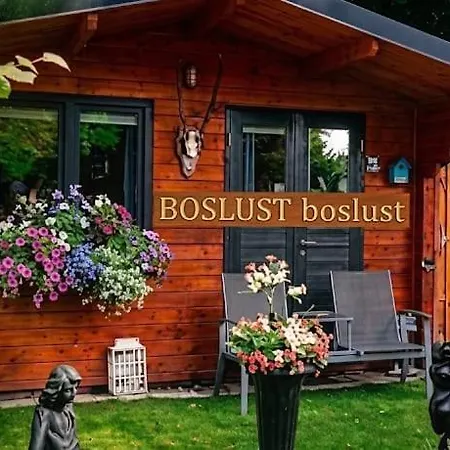 Chalet Boslust, In De Op Rustig Park Putten