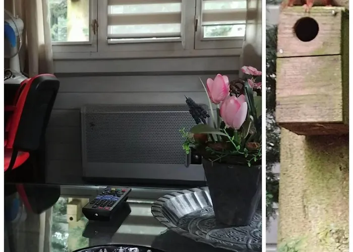 Boslust, In De Op Rustig Park Chalet