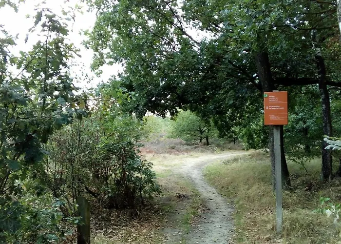 Boslust, In De Op Rustig Park Chalet Putten