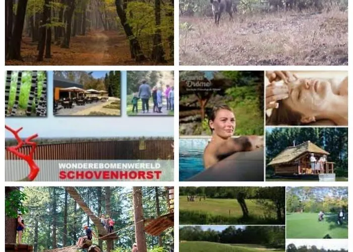 Chalet Boslust, In De Op Rustig Park Putten