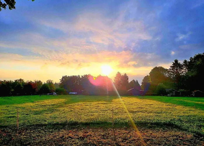 Boslust, In De Op Rustig Park * Putten