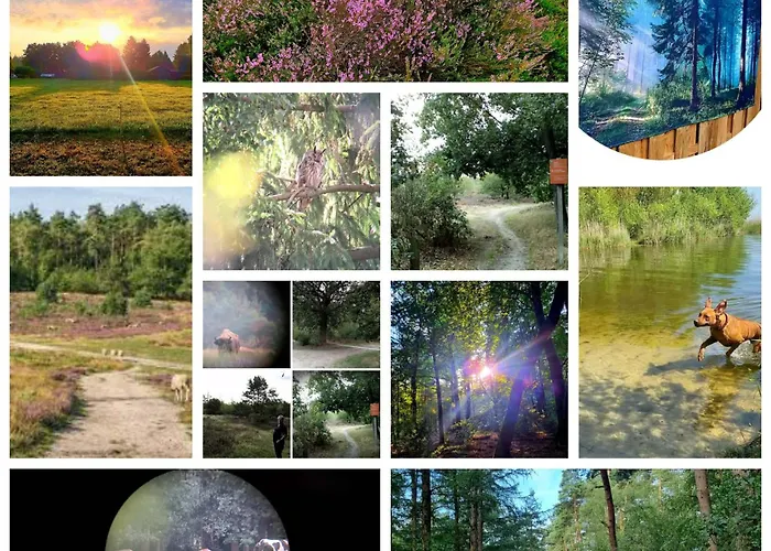 Alpstuga Boslust, In De Op Rustig Park