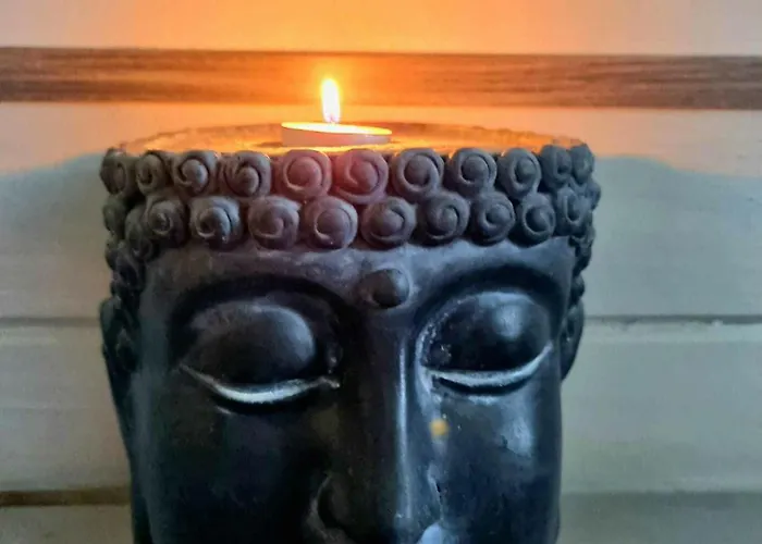 Boslust, In De Op Rustig Park Chalet