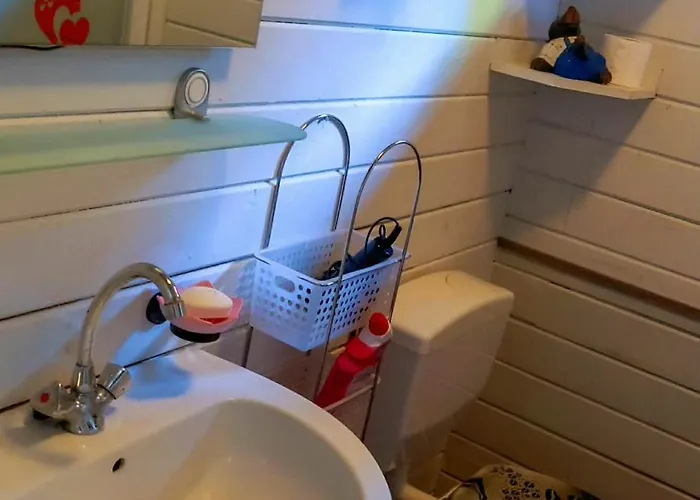 Boslust, In De Op Rustig Park