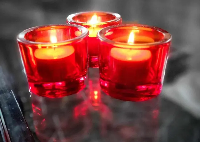 Chalet Boslust, In De Op Rustig Park *