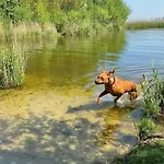 シャレー Boslust, In De Op Rustig Park