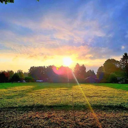 Boslust, In De Op Rustig Park * プッテン